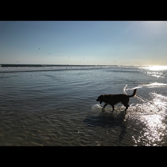 Meet your Posher, Alyssa - Picture 1 of 1